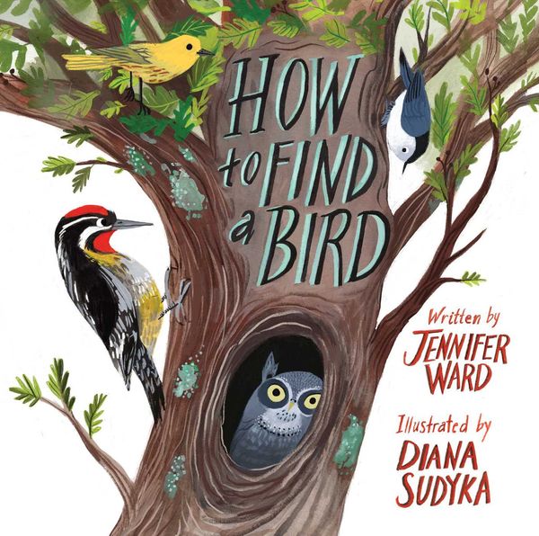 Cover Art for 9781481467056, How to Find a Bird by Jennifer Ward