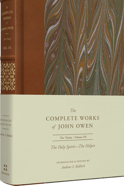 Cover Art for 9781433560217, The Holy Spirit--The Comforter (Volume 8) (Complete Works of John Owen) by John Owen
