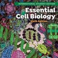 Cover Art for 9781324033394, Essential Cell Biology by Bruce Alberts