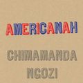 Cover Art for 9780007306220, Americanah by Chimamanda Ngozi Adichie