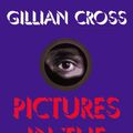 Cover Art for 9780823412679, Pictures in the Dark by Gillian Cross