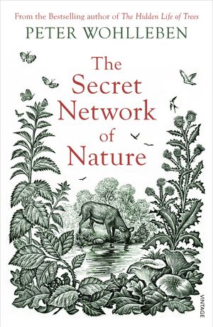 Cover Art for 9781784708498, The Secret Network of Nature: The Delicate Balance of All Living Things by Peter Wohlleben