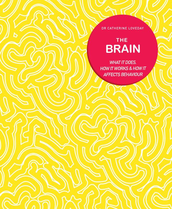 Cover Art for 9780233005454, The Brain by Catherine Loveday