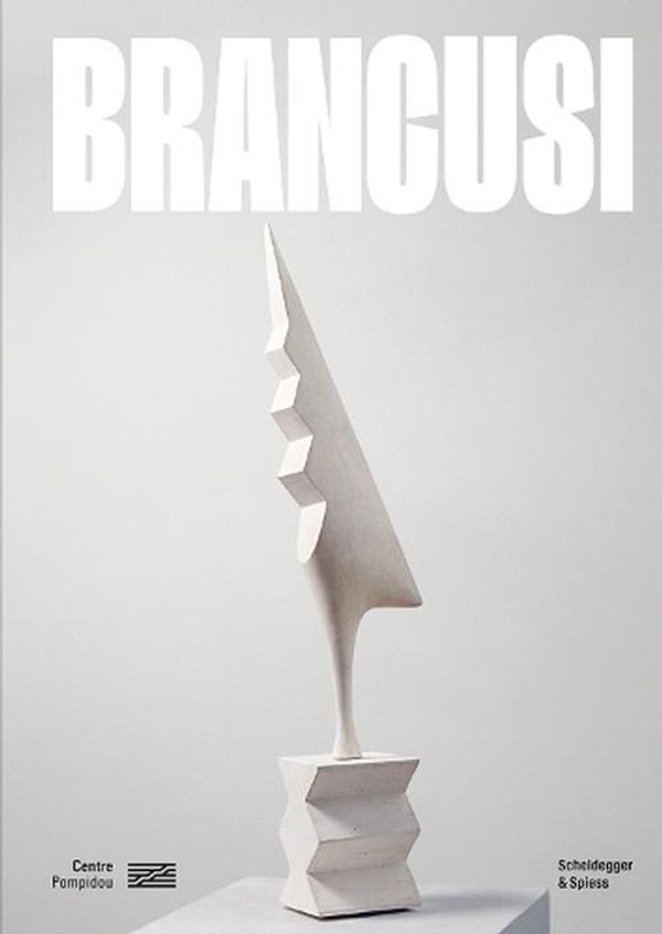 Cover Art for 9783039422036, Brancusi by Edited by Ariane Coulondre