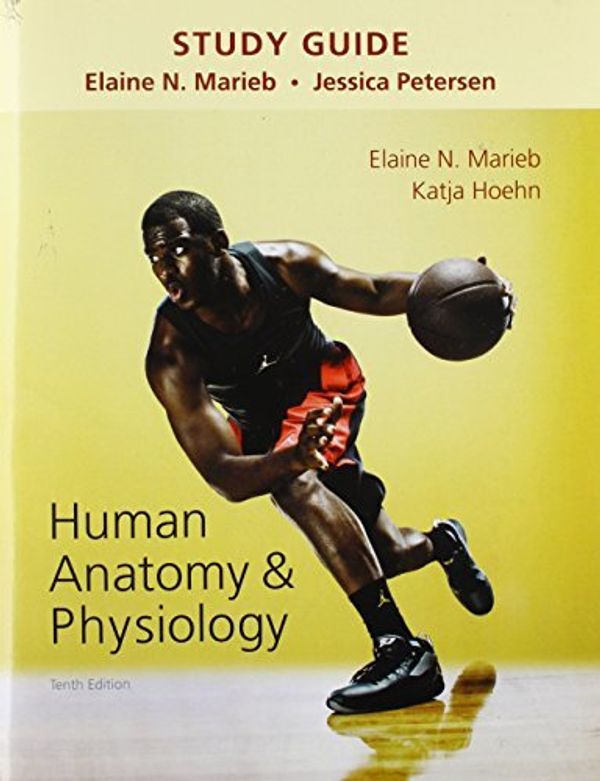 Cover Art for B01NGZXNL3, Study Guide for Human Anatomy & Physiology by Elaine N. Marieb Katja N. Hoehn(2015-06-06) by Elaine N. Marieb Katja N. Hoehn