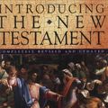 Cover Art for 9780745911687, Introducing the New Testament by John W. Drane