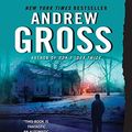 Cover Art for 9780062044877, Reckless by Andrew Gross