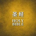 Cover Art for 9781623370732, Chinese / English Bible - Ccb Simplified / NIV Hc by Zondervan