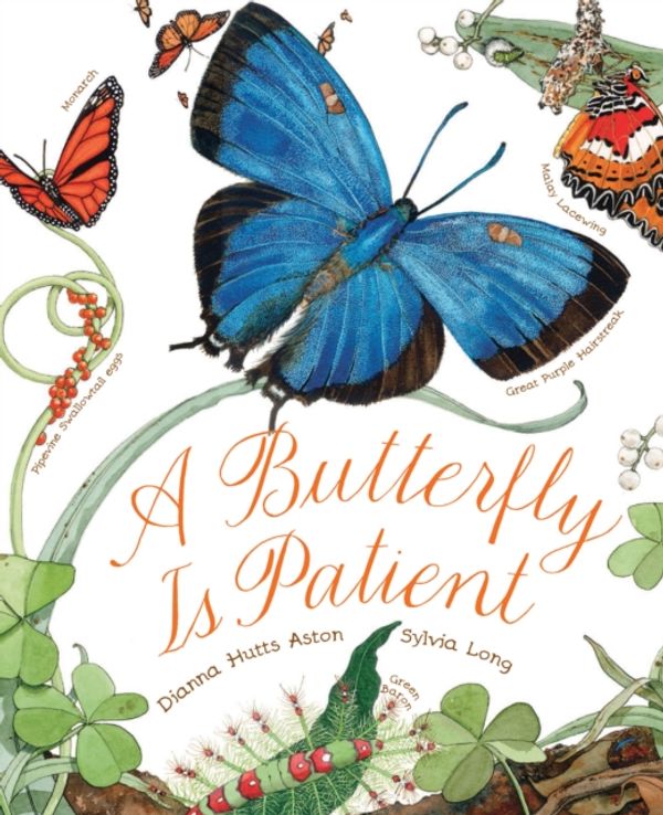Cover Art for 9781452141244, A Butterfly Is Patient by Dianna Hutts Aston