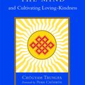 Cover Art for 9781590302521, Training The Mind by Chogyam Trungpa