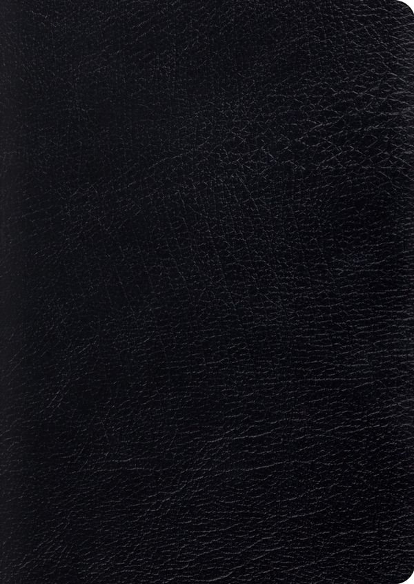 Cover Art for 9781433544316, ESV Study Bible, Large Print (Genuine Leather Black) by Crossway Bibles