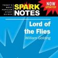 Cover Art for 9781411403147, Lord of the Flies by William Golding