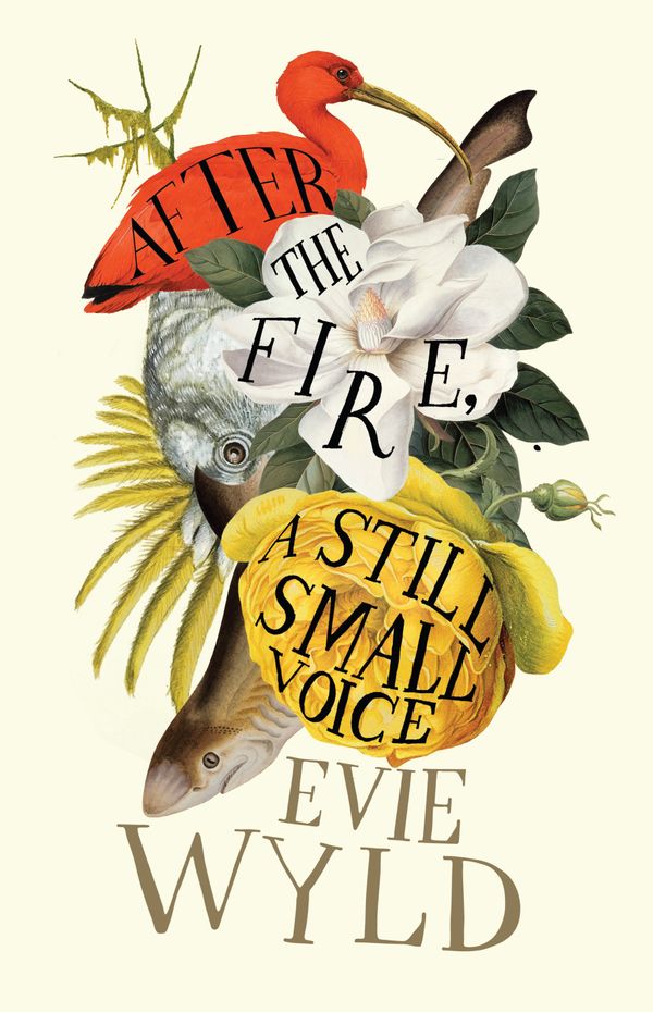Cover Art for 9780224088879, After the Fire, A Still Small Voice by Evie Wyld