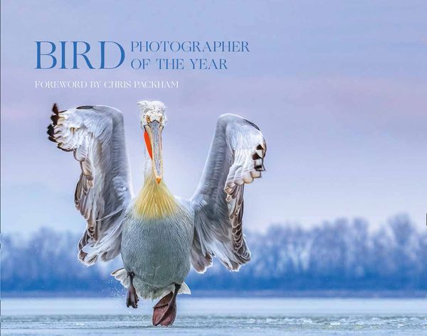 Cover Art for 9780008336196, Bird Photographer of the Year: Collection 4 (Bird Photographer of the Year) by Bird Photographer of the Year