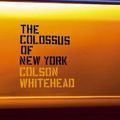 Cover Art for 9780007164011, The Colossus of New York by Colson Whitehead