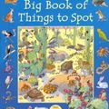 Cover Art for 9781580864961, The Usborne Big Book of Things to Spot by Ruth Brocklehurst, Gillian Doherty, Anna Milbourne