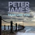 Cover Art for 9780230745032, Dead Like You by Peter James, William Gaminara