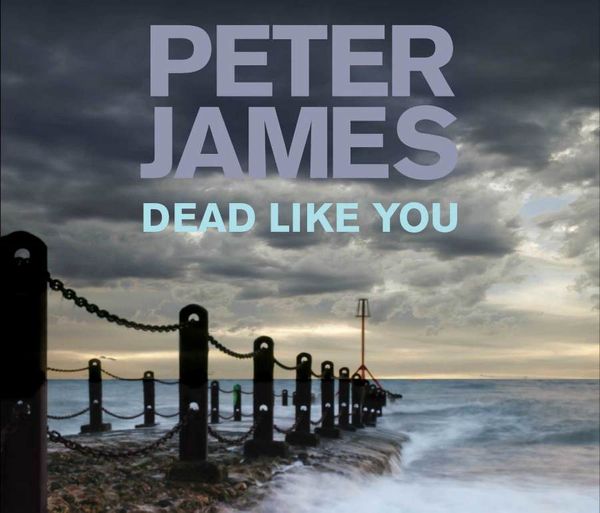 Cover Art for 9780230745032, Dead Like You by Peter James, William Gaminara