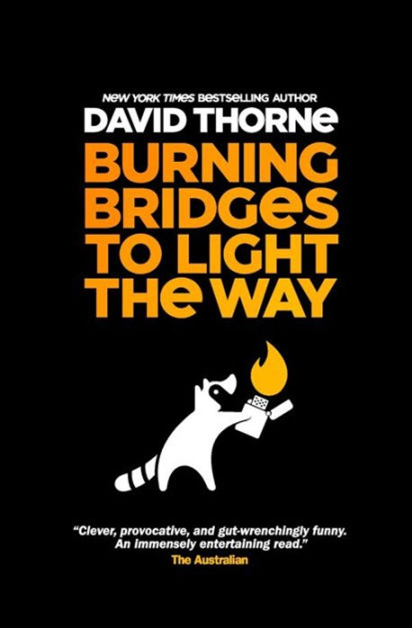 Cover Art for 9780578598468, Burning Bridges to Light the Way by David Thorne