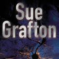 Cover Art for 9780333901656, P is for Peril by Sue Grafton