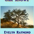 Cover Art for 1230001458824, Dorothy at Oak Knowe by Evelyn Raymond