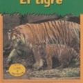 Cover Art for 9781403404084, El Tigre = The Tiger (Animales del Zoologico) by Patricia Whitehouse