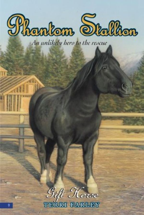 Cover Art for 9780613811354, Gift Horse by Terri Farley