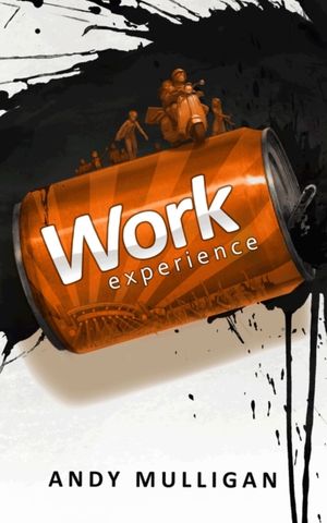 Cover Art for 9781910200148, Work Experience by Andy Mulligan