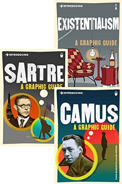 Cover Art for 9781848318663, Introducing Graphic Guide Box Set - Why am I Here? (Export Edition) by Richard Appignanesi