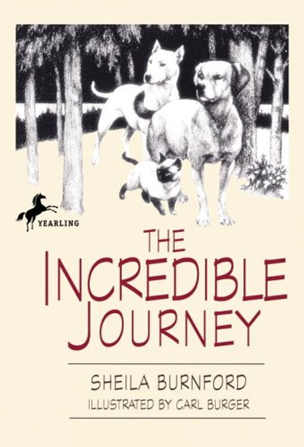 Cover Art for 9780340010907, The Incredible Journey by Sheila Burnford