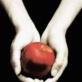 Cover Art for 9780320099694, Fascination by Stephenie Meyer