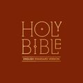 Cover Art for 9780008182045, Holy Bible: English Standard Version (ESV) Anglicised Pew Bible (Burgundy Colour) by Not Available (NA)