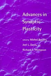 Cover Art for 9780262024600, Advances in Synaptic Plasticity by Unknown