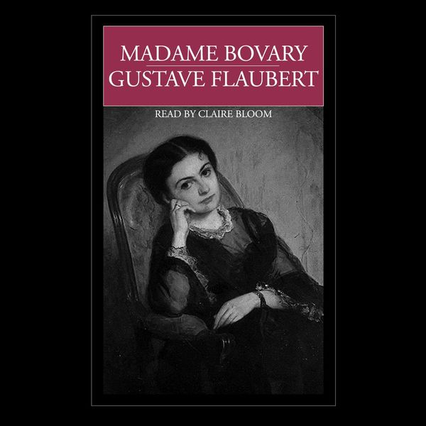 Cover Art for 9781598876949, Madame Bovary by Gustave Flaubert