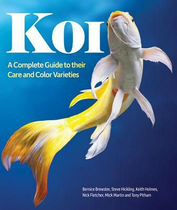 Cover Art for 9781770855199, Koi: A Complete Guide to Their Care and Color Varieties by Bernice Brewster