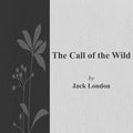 Cover Art for 9786050371871, The Call of the Wild by Jack London
