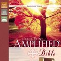 Cover Art for 9780310410270, Amplified Bible, Large Print by Zondervan Publishing