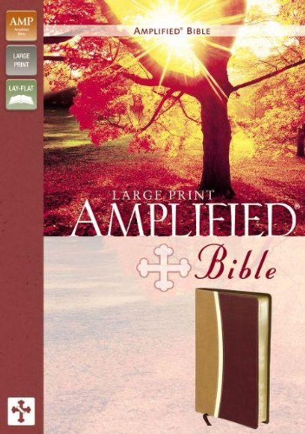 Cover Art for 9780310410270, Amplified Bible, Large Print by Zondervan Publishing
