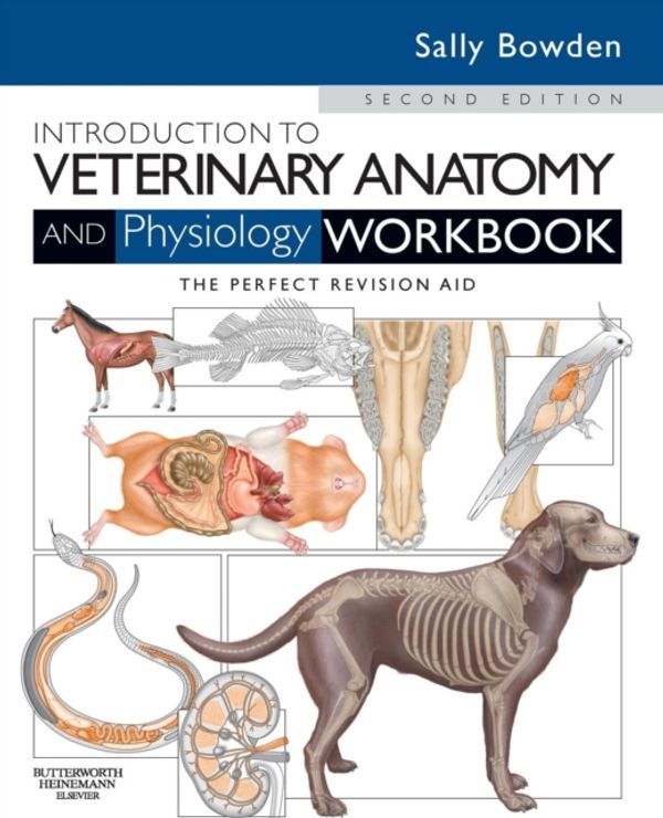 Cover Art for 9780702052323, Introduction to Veterinary Anatomy and Physiology Workbook by Sally J. Bowden