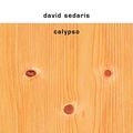Cover Art for 9788804711605, Calypso by David Sedaris