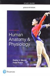 Cover Art for 9780134760230, Study Guide for Human Anatomy & Physiology by Elaine Marieb, Katja Hoehn