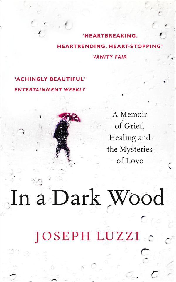 Cover Art for 9780008100667, In a Dark Wood: What Dante Taught Me About Grief, Healing, and the Mysteries of Love by Joseph Luzzi