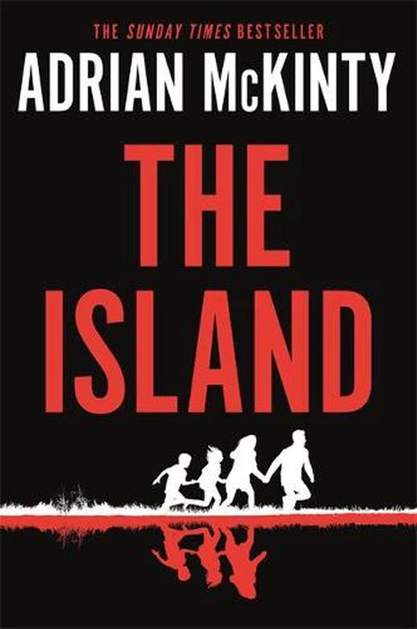 Cover Art for 9781409189633, The Island by Adrian McKinty