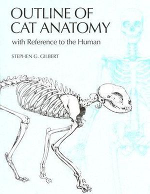 Cover Art for 9780295978185, Outline of Cat Anatomy by Stephen G. Gilbert