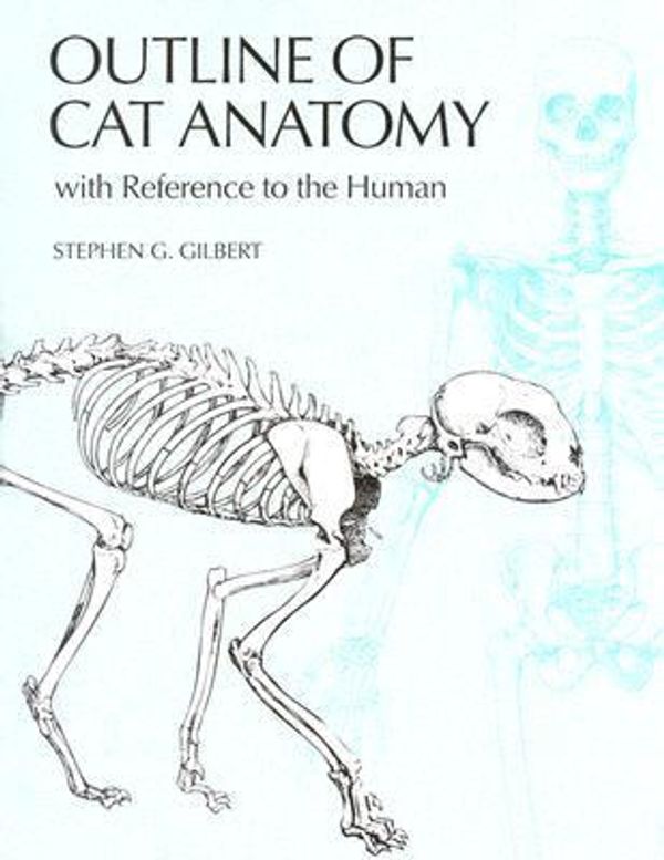 Cover Art for 9780295978185, Outline of Cat Anatomy by Stephen G. Gilbert