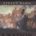 Cover Art for 9780674059580, A Nation Under Our Feet by Steven Hahn