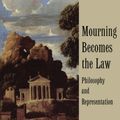 Cover Art for 9780521578493, Mourning Becomes the Law by Gillian Rose