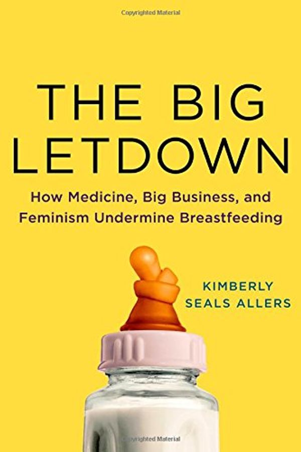 Cover Art for 9781250026965, The Big Letdown: The True Story of How Politics, Feminism, and Big Business Changed Breastfeeding by Kimberly Seals Allers