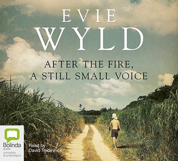 Cover Art for 9781742149011, After the Fire, a Still Small Voice by Evie Wyld