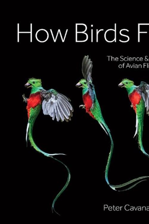 Cover Art for 9780228104865, How Birds Fly: The Science and Art of Avian Flight by Peter Cavanagh